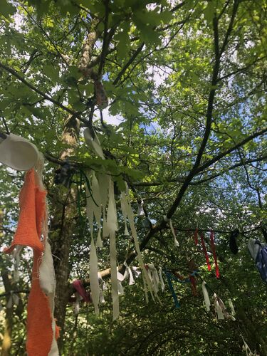 Rags tied around branches of a wishing tree