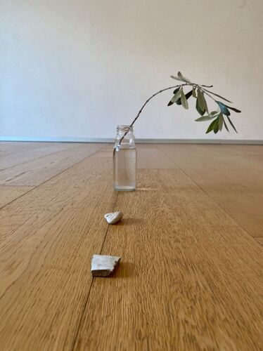 A plant cutting in a vase and 2 small stones on a wooden floor