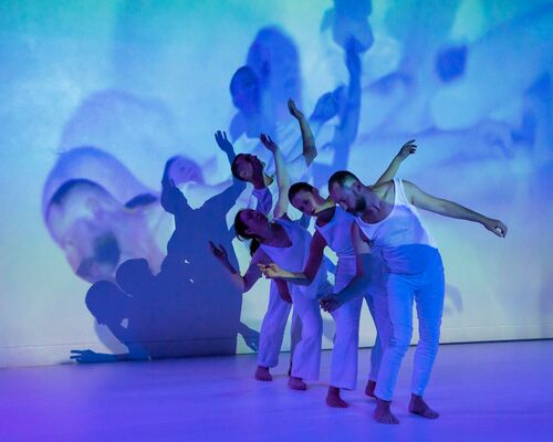 A line of four dancers cast in blue light in movement